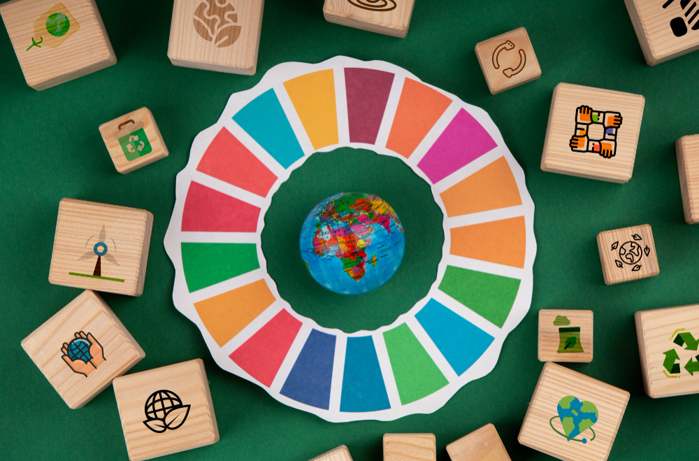 ¿Por qué se crearon los Objetivos de Desarrollo Sostenible?
